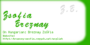 zsofia breznay business card